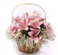 Ослепительная Ослепительная